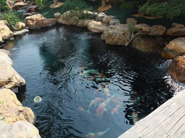 魚池自動化泵控制系統(tǒng)